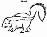 Skunk sketch template