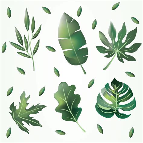 green leaves clipart vector pack  vector art  vecteezy