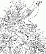 Coloring Pages Very Detailed Popular sketch template