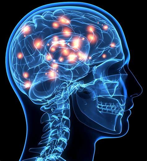give  brain disorders  brain health