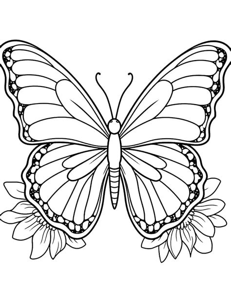 beautiful butterfly coloring pages  kids  printables