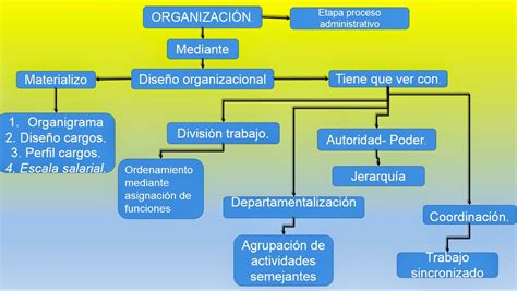 procesos administrativos la organizacion como etapa del proceso