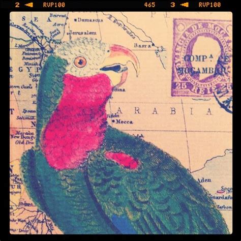 parrot world map jaime fernandez flickr