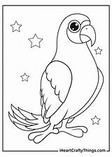 Parrots Parrot Iheartcraftythings Yellows sketch template