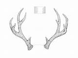 Antlers Hatching Contour sketch template