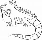 Iguana Leguaan Galapagos Smiles Kleurplaten Schattig Glimlacht Iguanas Färga Sidor Gulliga Stockillustratie Colouring Illustrationer Leguan Reptiles Vektorer Pretos sketch template