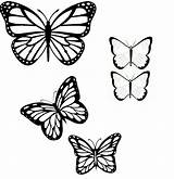 Butterfly Outline Tattoo Butterflies Outlines Monarch Clipart Coloring Drawing Tattoos Line Simple Pages Template Small Designs Doodle Drawings Pattern Library sketch template