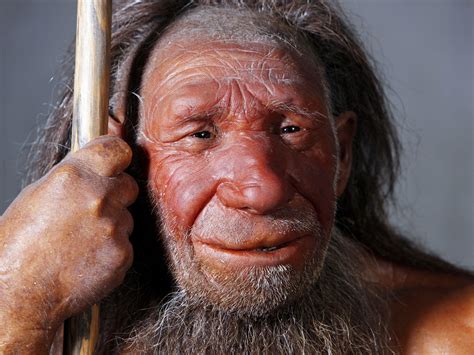 modern health problems could have origins in neanderthal interbreeding