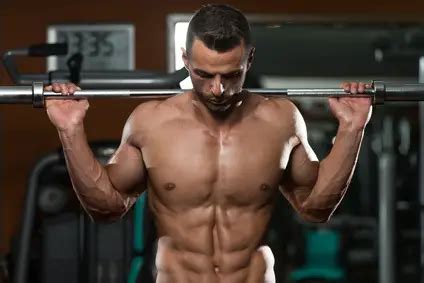 muscle building tips tricks  articles