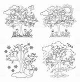 Pory Roku Tree Drzewo Stagioni Quattro Alberi Zdroj Pinu Wydrukuj Malowankę sketch template