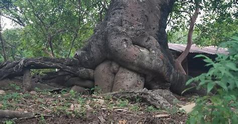 Natures Porn Imgur