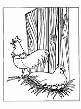 Kippen Kip Huhn Pollo Chicken Dieren Malvorlagen Mewarnai Colorare Animasi Ayam Poulets Pollos Coloriages Bergerak Animaatjes Polli Malvorlagen1001 Eu Pintar sketch template