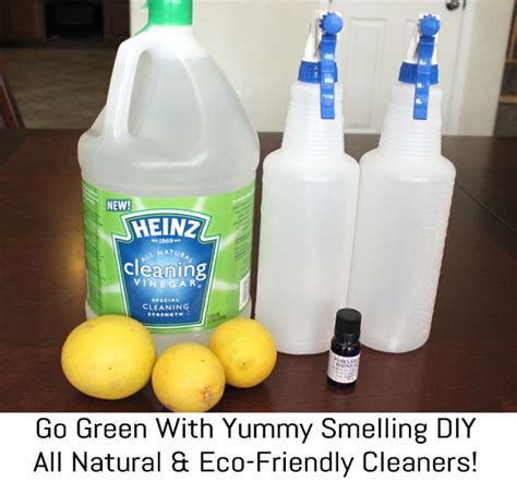 Go Green Eco Friendly Cleaning With Heinz Cleaning