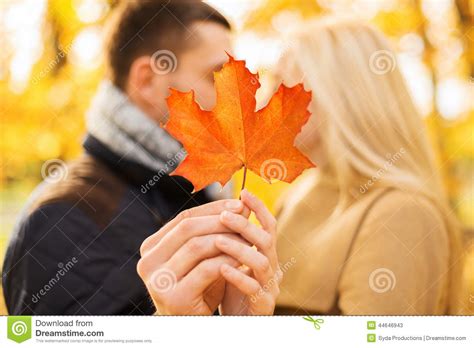 couple kissing in the autumn park stock image 23150023
