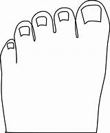 Toes Clipart Toe Clip Toenail Big Cliparts Toenails Nail Vector Long Foot Clipground 20clipart Library Clker Large Use Cutter sketch template