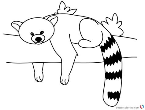 red panda coloring pages rest   tree  printable coloring pages