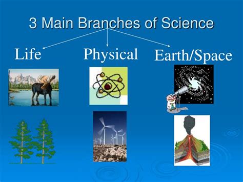 branches  science powerpoint  id