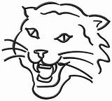 Wildcat Coloring Pages Logo Wild Cat Kentucky Clipart Colouring Wildcats Stanley Flat Scottish Clip Musical Drawing School High Draw Step sketch template