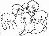 Coloring Lamb Easter Pages Popular Lambs Sheep Pretty sketch template