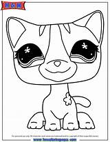 Coloring Pet Littlest Pages Shop Cat Lps Dog Collie Cats Dogs Printable Color Printables Library Frozen Easter Cartoon Clipart Popular sketch template
