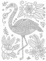 Flamingos Zentangle Mycoloring Cards sketch template