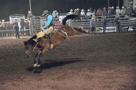 rodeo saddle bronc hunt  sage ranch llc