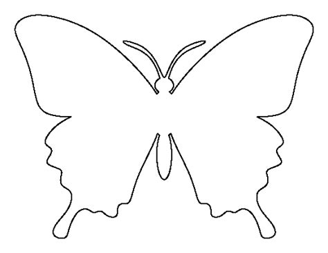 sample butterfly  documents   butterfly butterfly template