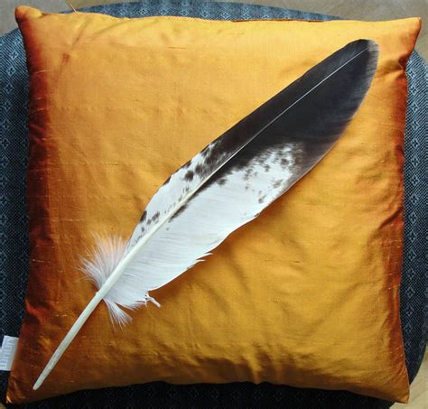 eagle feathers ideas  pinterest native beadwork american indians  indian headress