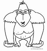 Coloring Pages Monkey Gorilla Color Animal Printable Clipart Monkeys Kids Animals Online Sheets Found sketch template