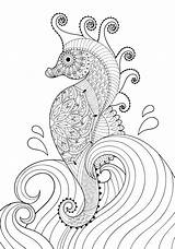Seahorse Zeepaardje Marino Cavalluccio Golven Volwassen Getrokken Artistiek Kleurende Coloritura Adulta Disegnato Artistico Mano Zentangle Doodle Verbnow sketch template