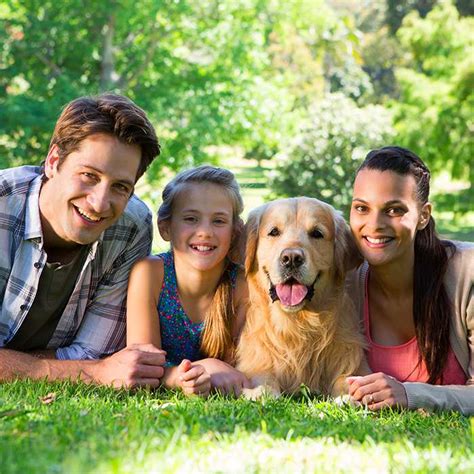 tips  adopting   family dog