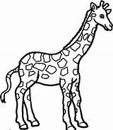 Jirafas Giraffe Girafa sketch template