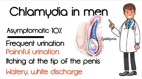 chlamydia in men pictures treatment causes symptoms signs