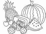 Fruits sketch template