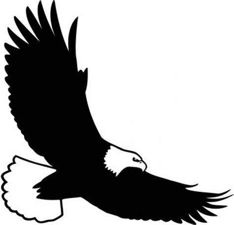 bald eagle flying svg