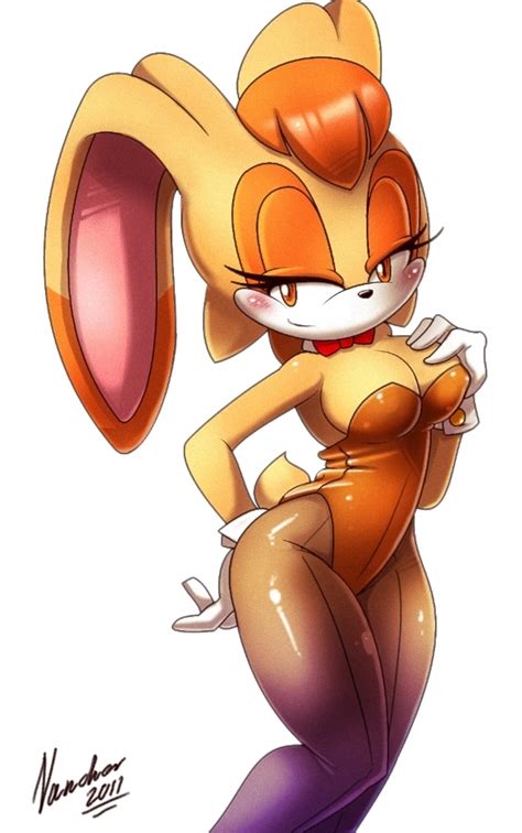 vanilla the bunny by nancher sonic the hedgehog know your meme