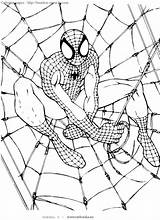 Spider Man Pages Color Miracle Timeless sketch template