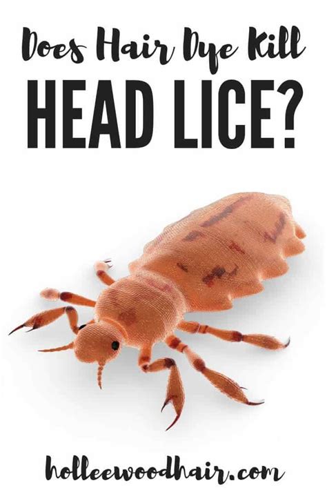 hair dye kill lice holleewoodhair hair snips