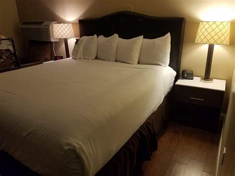 el royale hotel  universal studios hollywood   updated  prices reviews