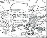 Sea Coloring Creatures Pages Getdrawings Under sketch template