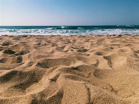 dangerous bacteria  lives  beach sand dorkfuel