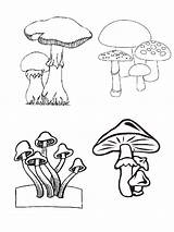 Coloring Pages Herfst Autumn Kleurplaten Kleurplaat Paddestoelen Mushroom Champignons Van sketch template