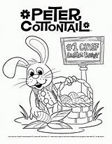 Cottontail Bunny Miser Pete Jr Historian sketch template