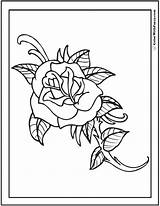 Coloring Rose Pages Cool Rosebud Simple Color Roses Printable Drawing Pdf Bud Printables Soldier Getdrawings Designlooter Memorial Fallen 6kb 762px sketch template