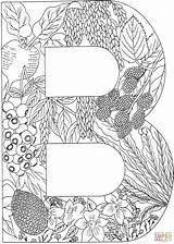 Coloring Letter Pages Letters Adult Printable Alphabet Supercoloring Plants Nature Color Colouring Clipart Hard Sheets Crafts Silhouettes Visit Book Cartoons sketch template