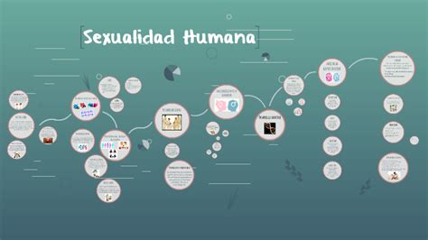 Sexualidad Humana By Cristian Hernández