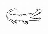 Krokodil sketch template