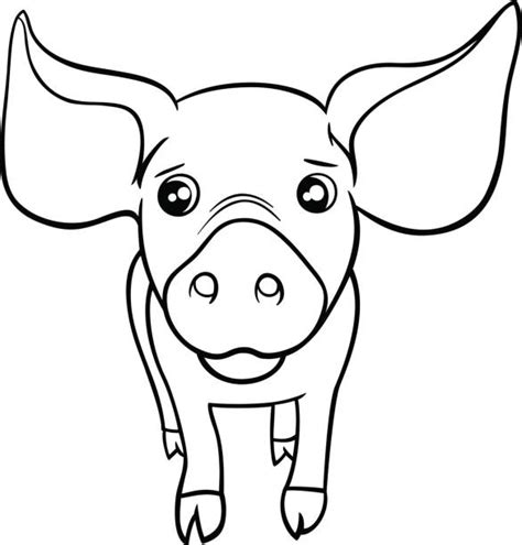 cute pig coloring pages illustrations royalty  vector graphics