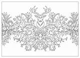 Forest Enchanted Coloring Johanna Basford Pages Postcards Adult Colouring Book Adults Garden Printable Coloriage Erwachsene Voor Volwassenen Mandala Para Choose sketch template