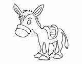 Farm Donkey Coloring Coloringcrew sketch template